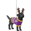 NBA Los Angeles Lakers Black Lab Custom Shaped Ornament