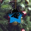 NFL Carolina Panthers Star Ornament